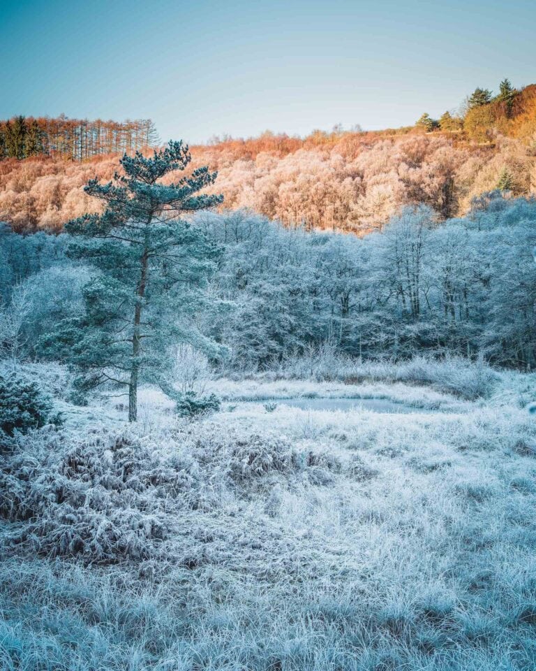 ©Alastair Ross. Copyrighted, alastairrossphotography.co.uk, cliffhouseholidaycottages.co.uk, dalby, dalby forest, ebberston, ellerburn, frost, gentle walks, holiday cottages in yorkshire, holidaycottagesinyorkshire.com, icey, icy, landscape photography, north york moors national park, north yorkshire, peak district, photography, pickering, self catering, stay at cliff, thorn, thornton-le-dake, thorton dale, thorton le dale, walking, walkshire, winter