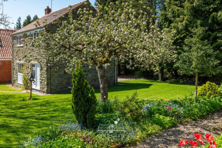 flowers, cottages with gardens, spring, summer, dog friendly, cottages with grounds, 5 star, five star, luxury, cliff hosue, cliff farm, cliff house farm, self catering, orchard house, 5 star, great reviews
